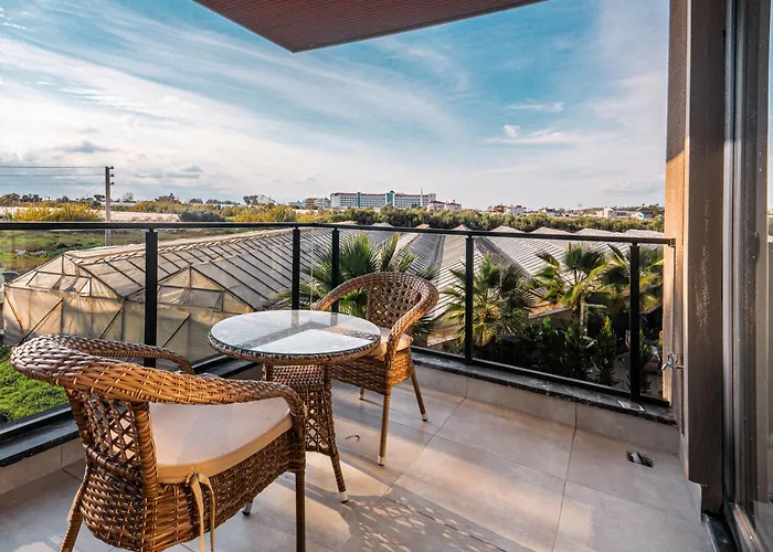 Mare - Palmera * אלאניה